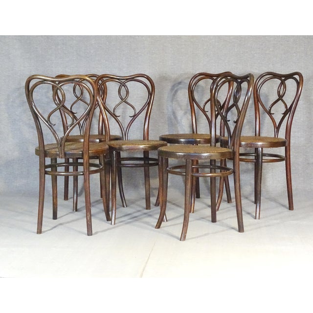 Art Nouveau New York Chairs by Michael Thonet for Gebrüder Thonet, 1925, Set of 6 For Sale - Image 11 of 15