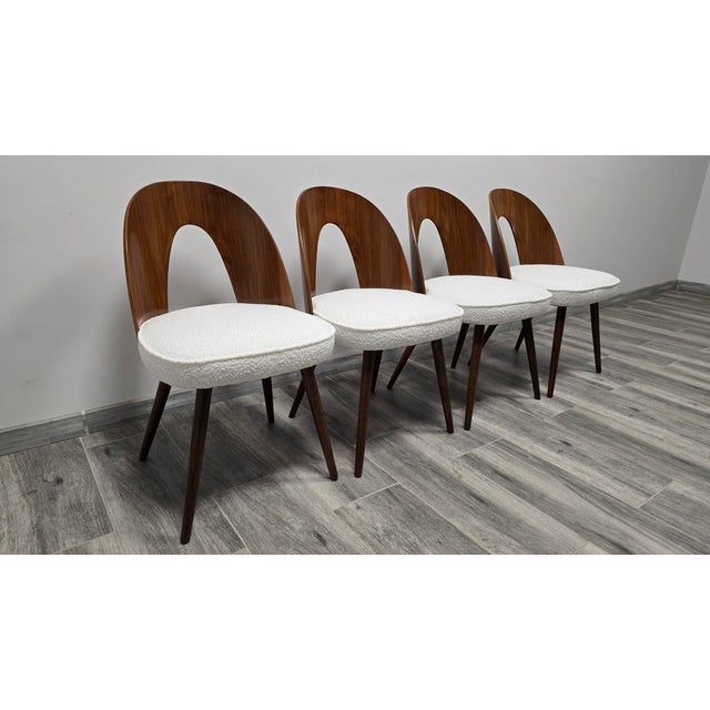 Dining Chairs from Antonin Suman, 1960s, Set of 4 For Sale - Image 4 of 10