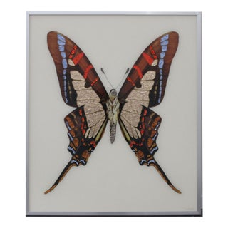 Michele Astolfi, Red Butterfly, 2000s, Mixed Media, Framed For Sale