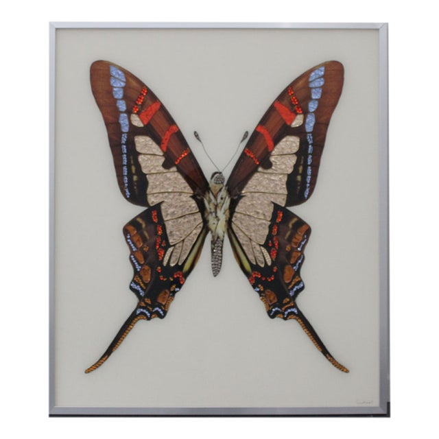 Michele Astolfi, Red Butterfly, 2000s, Mixed Media, Framed For Sale