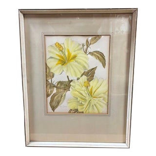 Mid-Century Hawaiian Framed Hibiscus Water Color Floral on Paper by Paul Tyler For Sale