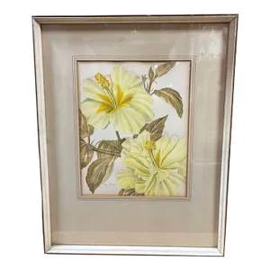 Mid-Century Hawaiian Framed Hibiscus Water Color Floral on Paper by Paul Tyler