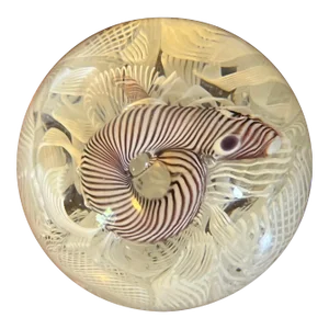 1950s Fratelli Toso Murano Striped Snake Italian Art Glass Paper Weight