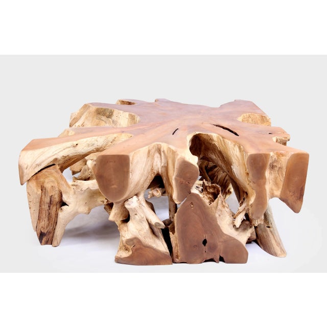 2020s Square 36" Inch Organic Teak Root Coffee Table 54 For Sale - Image 5 of 6