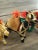 Vintage Hand-Crafted Stuffed Raj Cotton Embroidered Camel Toys/Ornaments Made in India For Sale In Phoenix - Image 6 of 10