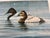 Late 20th Century Ducks on Lake, Print Artist Proof. Fully Framed & Tripple Matted With Glass. Marked: 14/50 Ap For Sale - Image 4 of 7