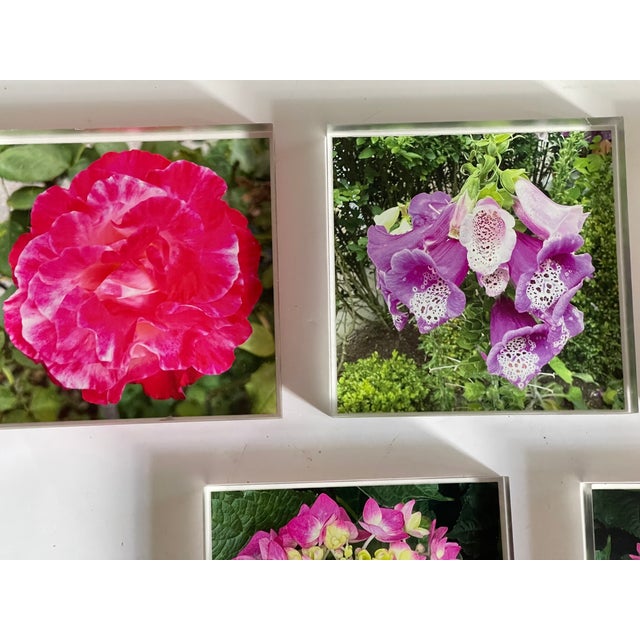 1970s 1970s Lucite Coasters Blocks Blooming Florals Roses For Sale - Image 5 of 6
