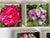 1970s 1970s Lucite Coasters Blocks Blooming Florals Roses For Sale - Image 5 of 6