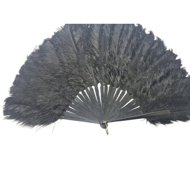 1920s Art Deco Polish Autriche Feather Fan, 1920s For Sale - Image 5 of 16