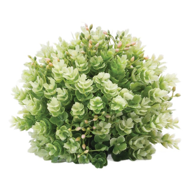 Foliage Half Orb (Set of 2) For Sale