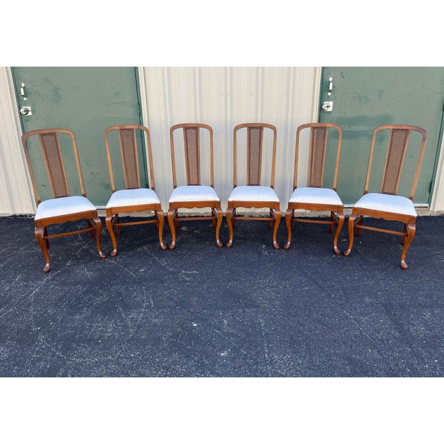 Early 20th Century Early 1900's Walnut Cane Back Dining Chairs- Set of 6- Newly Reupholstered For Sale - Image 5 of 12