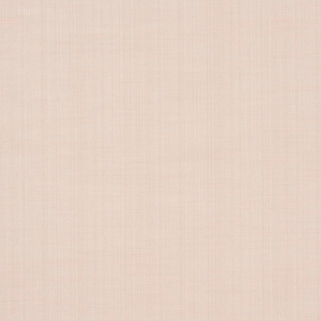 Schumacher SAMPLE - Schumacher X Mark D. Sikes Gracie Solid Strie Fabric In Blush For Sale - Image 4 of 5