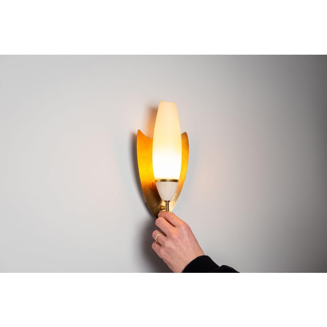 Vintage Wall Lamps with Brass Shields and Glass Shades, 1960s, Set of 2 For Sale - Image 9 of 13