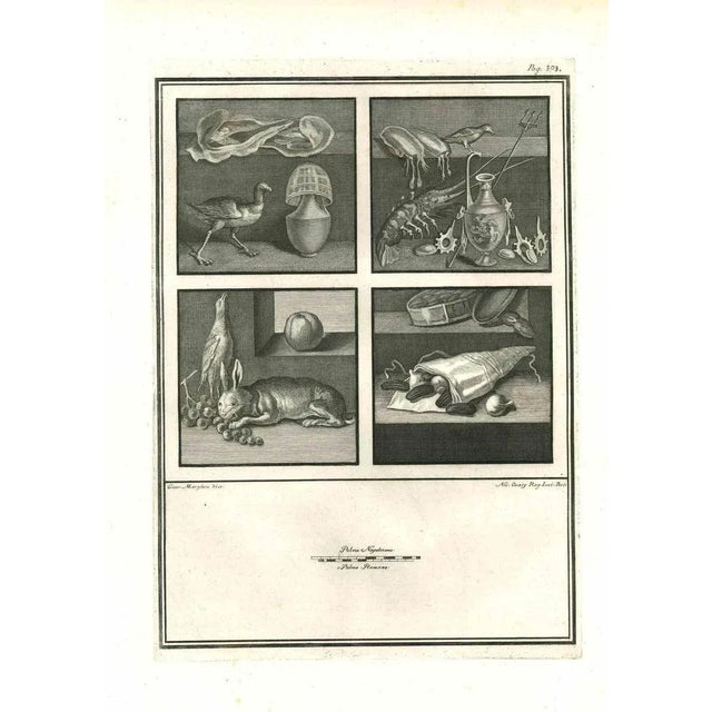 Ancient roman fresco from the series "antiquities of herculaneum", is an original etching on paper realized by giovanni...