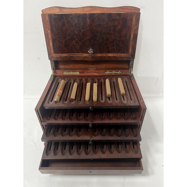 Cigar Box in Thuya Burl and Rosewood, 1800s For Sale - Image 6 of 14