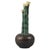 Scandinavian Modern Tulip Vase in Ceramic from Arne Säfström, 1890s, Set of 2 For Sale - Image 6 of 6