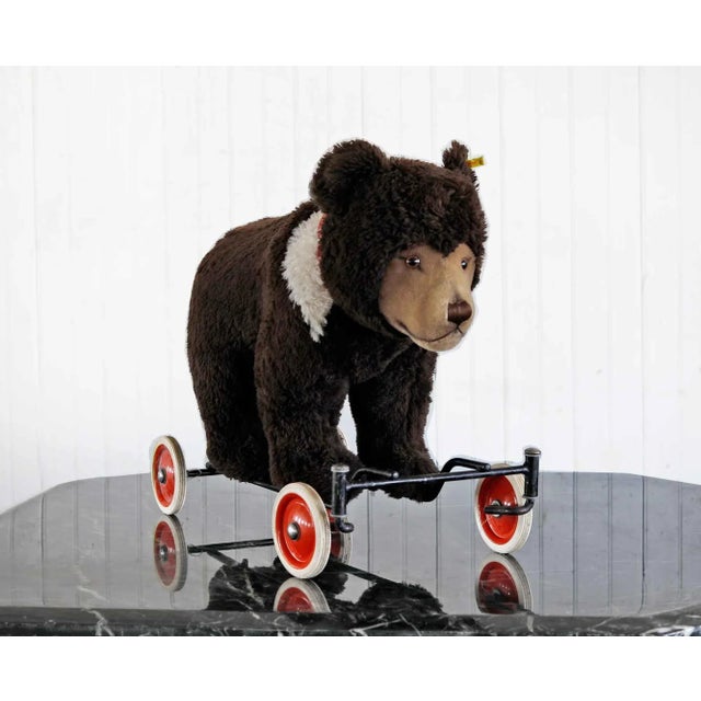 Steiff Riding Bear on Wheels • Vintage | Chairish