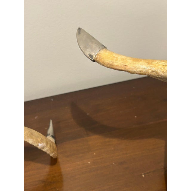 Vintage Pair of Large Natural Ram Horn Candleholders With Silver-Tone Cups — Rustic Lodge Sculptural Décor For Sale In New York - Image 6 of 6