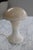 Mid-Century Alabaster Mushroom Table Lamp, Italy, 1960s For Sale - Image 6 of 11