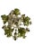 Mid Century Italian Tole Floral Chandelier For Sale In Los Angeles - Image 6 of 8