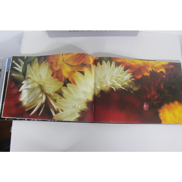 1986 Flower Show by Dennis Stock Hardcover Hard Cover Book in Case, Gift for Art Lover, Coffee Table, Bookshelf Styling, Shelf Rizzoli For Sale - Image 9 of 10
