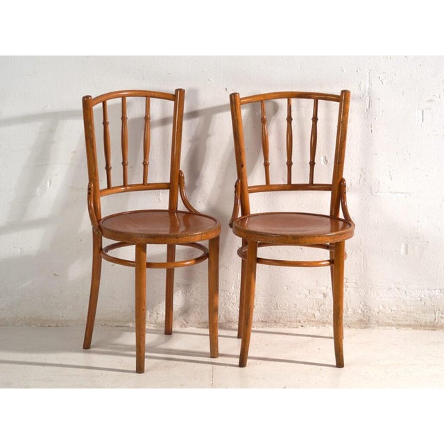 Bentwood Chairs in the style of Thonet, Central Europe, 1930, Set of 4 For Sale - Image 13 of 18