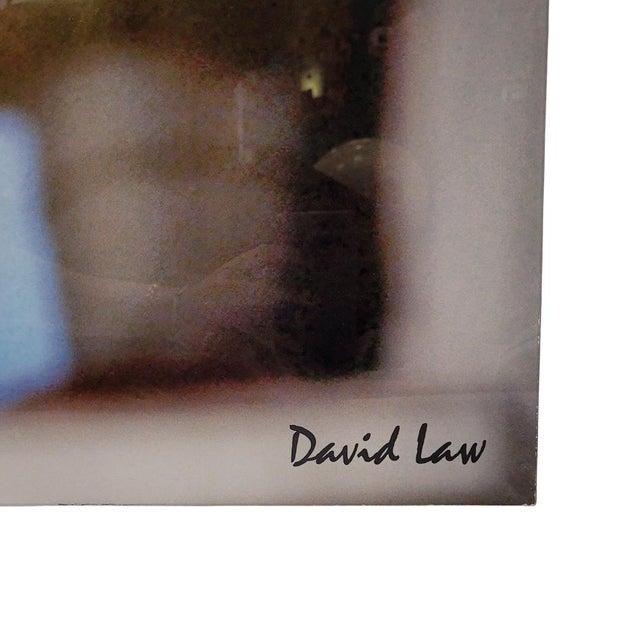 Photography “Female Portrait” David Law, Methacrylate, s. XX – England Extraordinary photograph taken and signed by the...