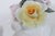 Thorley Bone China Figurine Poodle Pulling Cart of Flowers Made in England 5155b For Sale - Image 12 of 16