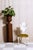 Early 20th Century Camille Italian Carved Chair For Sale - Image 4 of 7