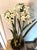 Vintage Mid-Century White Tole Narcissus Floral Arrangement Botanical Paperwhites Sculpture Circa 1950s For Sale - Image 10 of 11