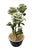 2000 - 2009 Vintage Chinoiserie Tôle Peinte Floral Topiary in Chonqing-Style Ceramic Pot For Sale - Image 5 of 12