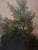 Mid 20th Century Large Windsor Castle Thames Landscape Oil Painting in Ornate Pierced Frame With Picture Light For Sale - Image 5 of 17