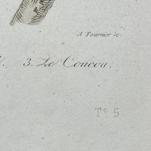 Tan French Antique 18th Century "Le Touraco" Bird Engraving Hand Colored Signed Artwork For Sale - Image 8 of 9