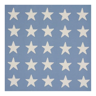 Schumacher Starfield Appliqué Fabric in Sky For Sale