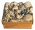 Vintage Sailors Valentines Sea Shells Encrusted Small Box For Sale