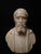 The bust depicts Michelangelo as an older man, closely modeled after the famous 16th-century portrait bronze by his...