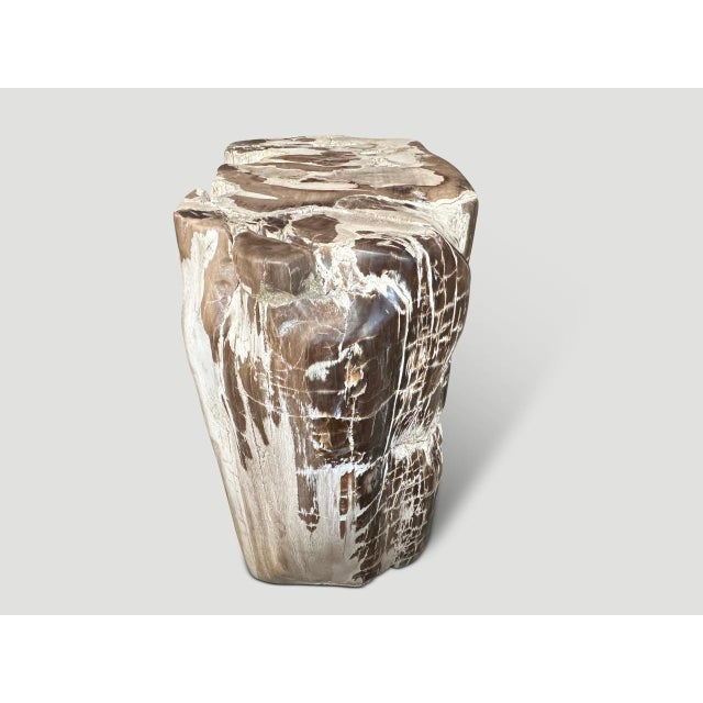 Andrianna Shamaris Ancient Sculptural Petrified Wood Side Table For Sale - Image 12 of 18