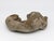 1960s Reconstituted Stone Dog Spaniel Garden Ornament, England 20th Century For Sale - Image 5 of 9