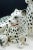 Hollywood Regency Italian Hand-Painted Snow Leopards For Sale - Image 3 of 11