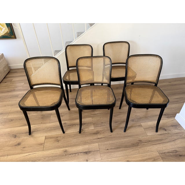 Thonet Thonet Bentwood Model 811 Chairs in Black and Pigskin Weave by Josef Hoffmann For Sale - Image 4 of 14