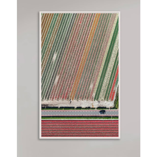 Edition Aerial Views Bernhard Lang Image: AV_Tulip_Fileds_010 Size B: 29,5 x 47,2 inches, 75 x 120 cm Captured in 2016 in...