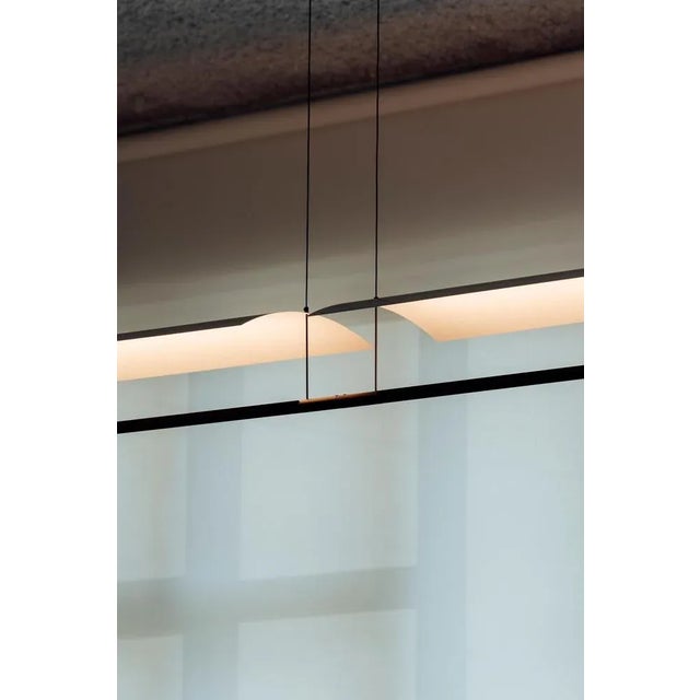 Tombina 165 for the Time by Antono Arola For Sale - Image 9 of 13