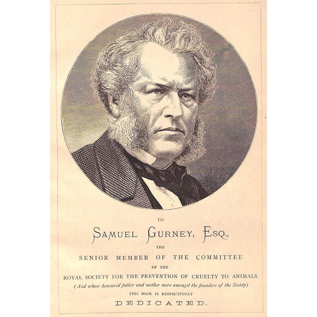 Traditional "Our Zoological Friends" 1876 Coultas, Harland For Sale - Image 3 of 10