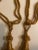 Vintage Gold Drapery Tieback and Tassels - Pair For Sale - Image 4 of 5