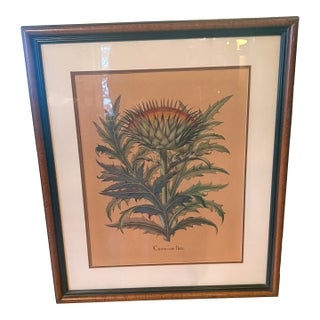 Late 20th Century Framed Besler Basilius "Cinera Cum Flore" Hand-Colored Artichoke Reproduction Print For Sale