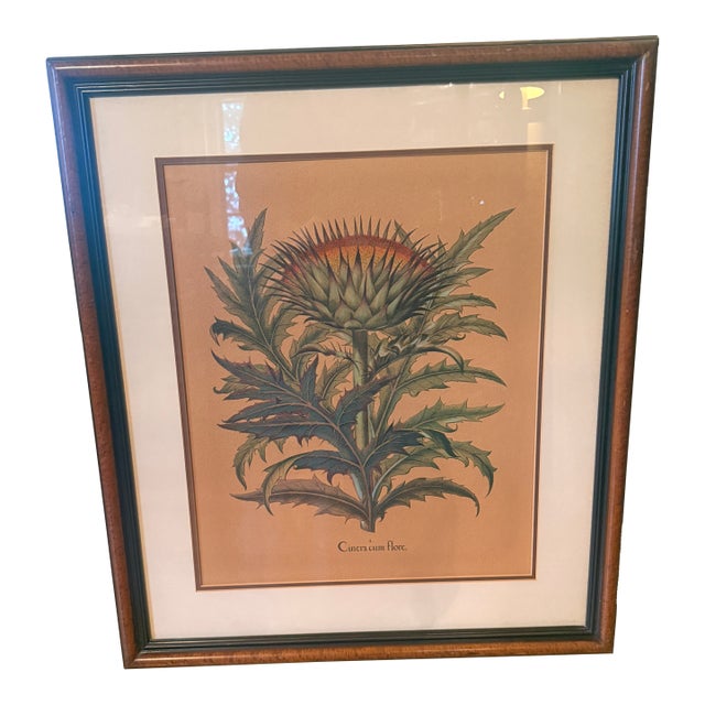 Late 20th Century Framed Besler Basilius "Cinera Cum Flore" Hand-Colored Artichoke Reproduction Print For Sale