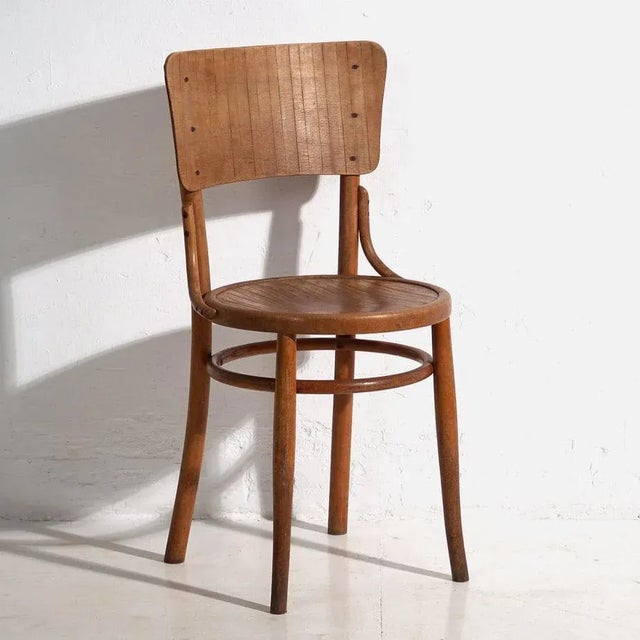 Wood Set of Antique Chairs from Thonet, 1900 For Sale - Image 7 of 13