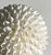 Shell Vintage White Sea Shell Decorative Ball For Sale - Image 7 of 9