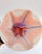 Large Multicolored Murano Glass Vase attributed to Maestri Di Murano, 1970s For Sale - Image 9 of 11