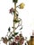 Brown Italian Metal and Porcelain Flower Chandelier, 1940s For Sale - Image 8 of 17